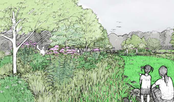 Future Wetland Garden (MVVA)